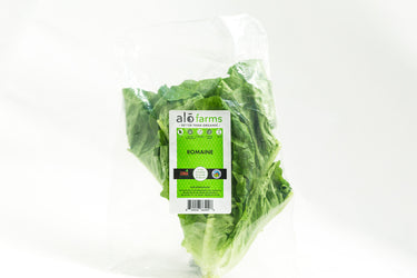 12ct Retail Case - Individual Romaine